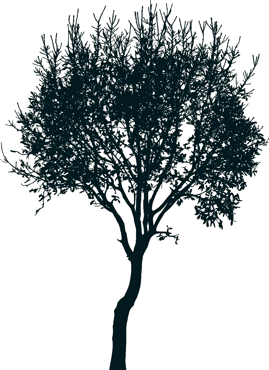 Tree 2