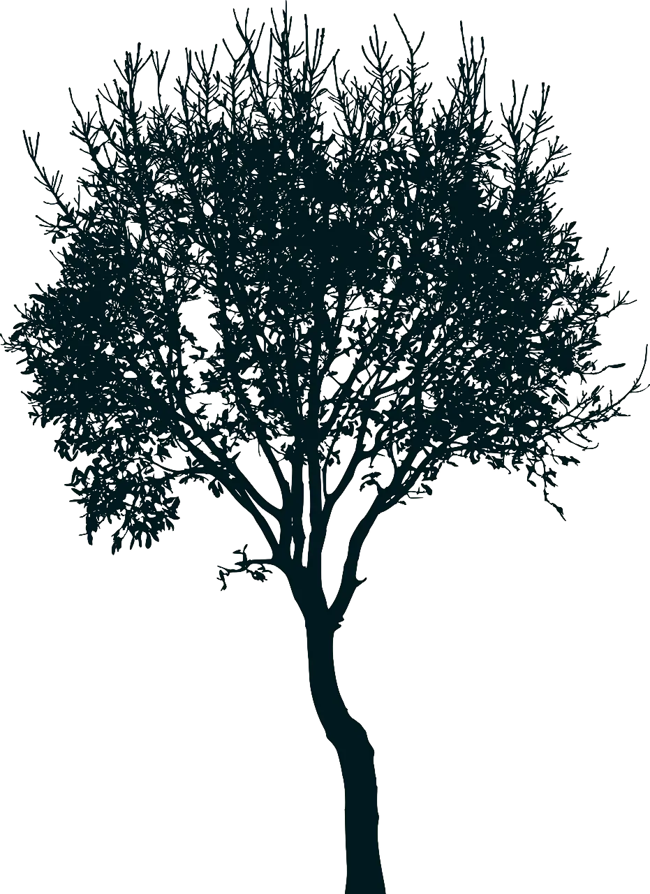 Tree 2 Variant
